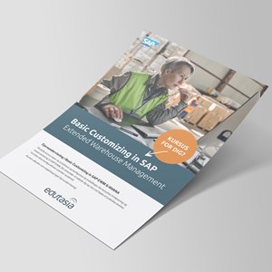 Mock Up SAP Basic Customizing Fjernundervisning A4 Flyer