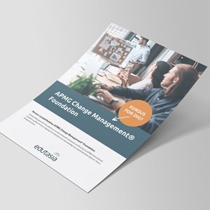 Mock Up Flyer Projektledelse Change Management Foundation
